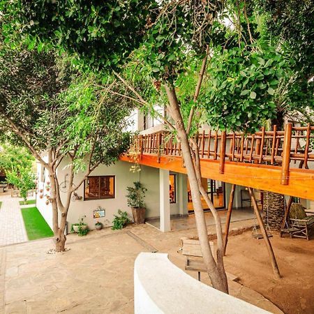 Little Forest Garden Retreat Windhoek Exterior photo