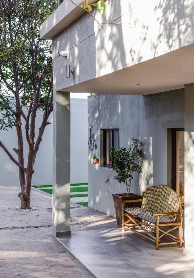 Little Forest Garden Retreat Windhoek Exterior photo
